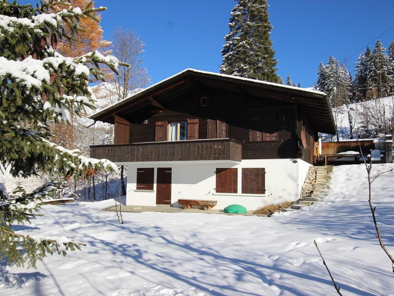 Vakantieappartement in Lenk, Zwitserland voor 10 personen foto 7
