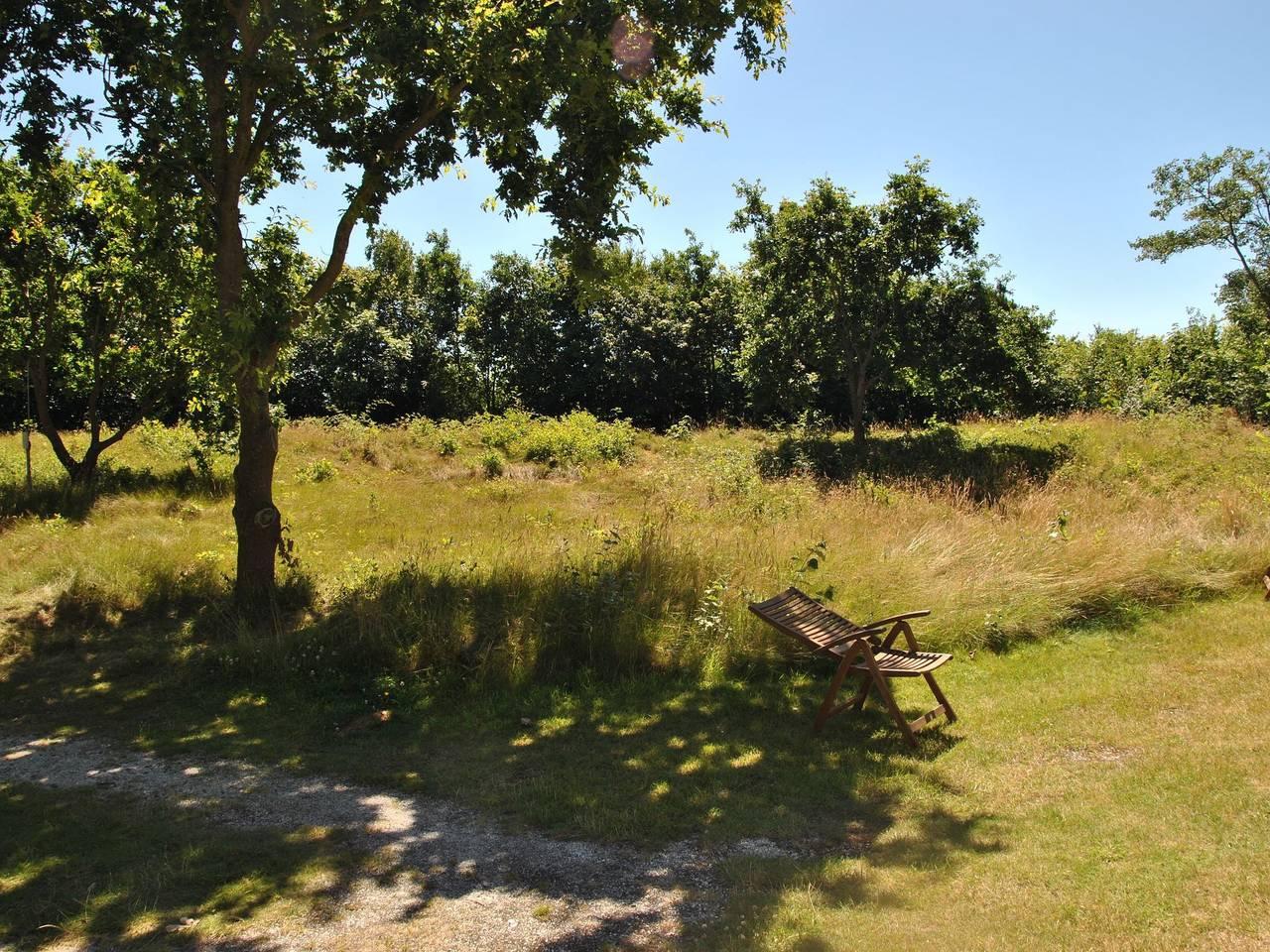 Luxe villa aan de duinen in Eijerland, De Cocksdorp, Nederland voor 8 personen foto 21