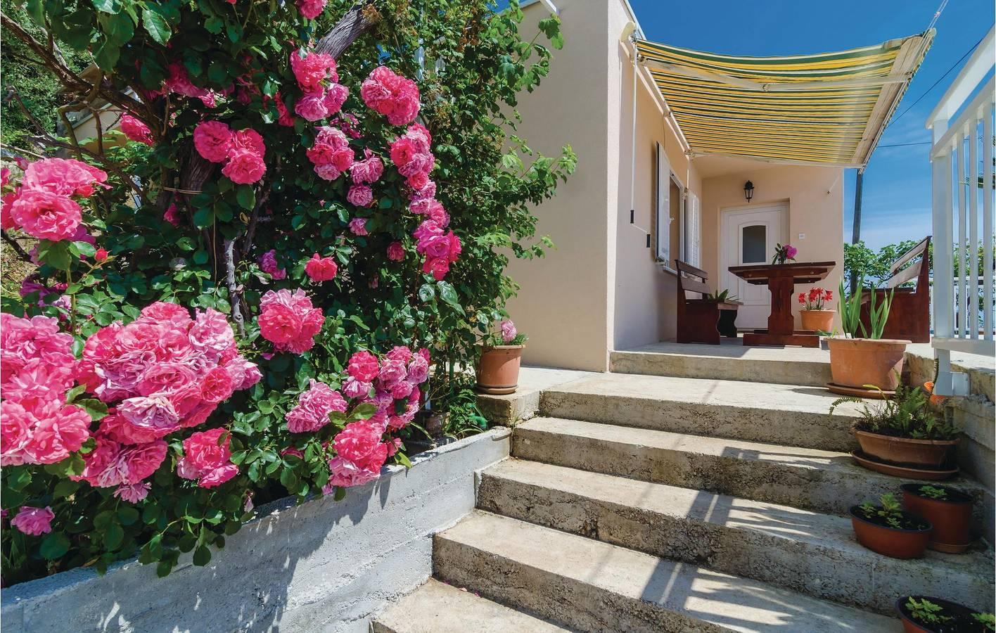 Vakantieappartement in Molunat, Kroatië voor 3 personen foto 7