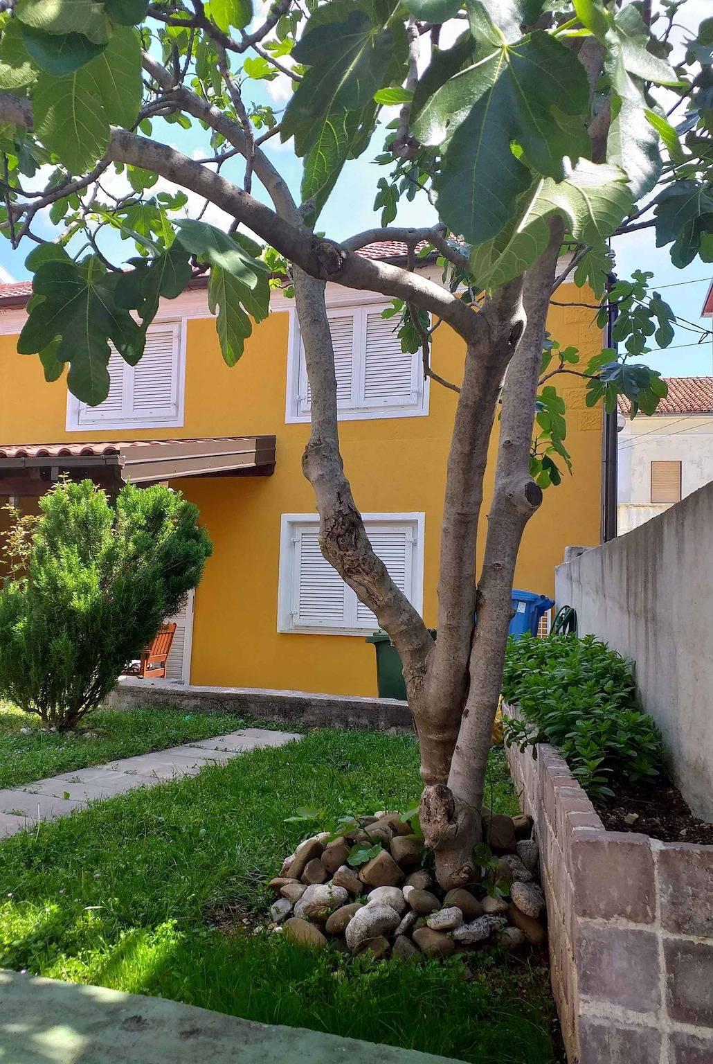 Vakantiehuis in Jadranovo, Kroatië voor 7 personen foto 2