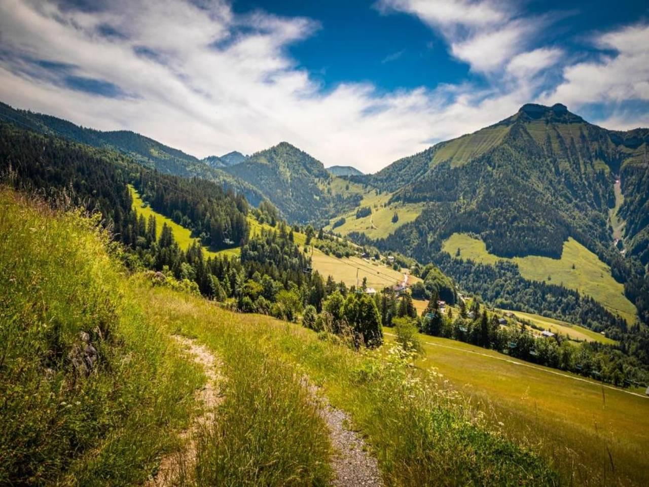 Vakantieappartement met sauna en hond toegestaan in Flachau, Tennengau, Oostenrijk voor 15 personen foto 20