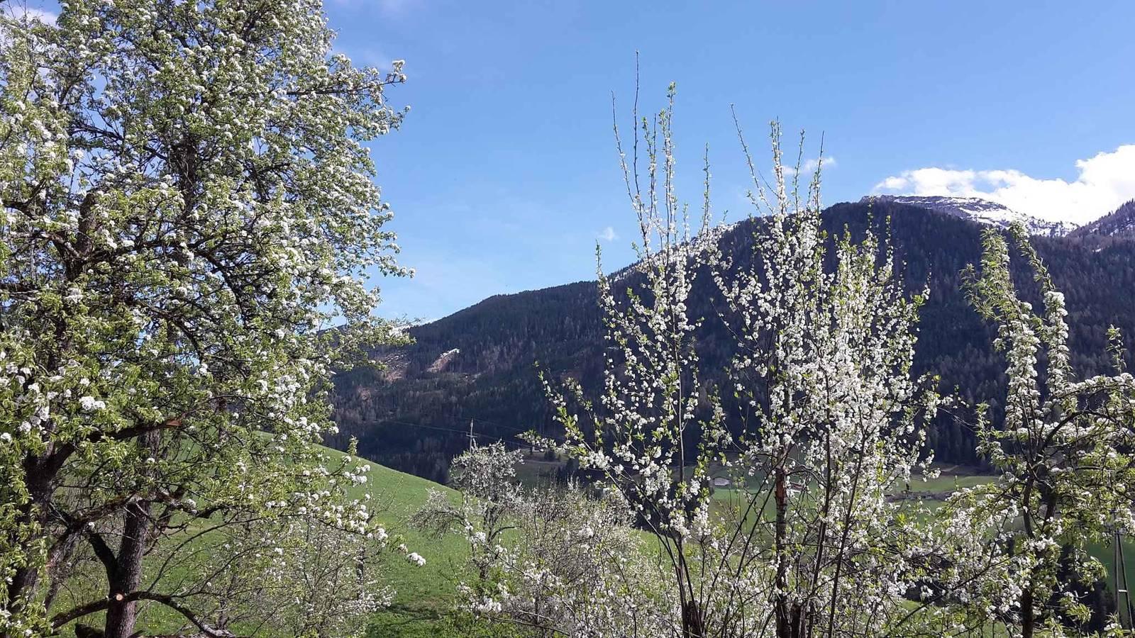 Vakantieappartement in Zillertal, Oostenrijk voor 10 personen foto 5