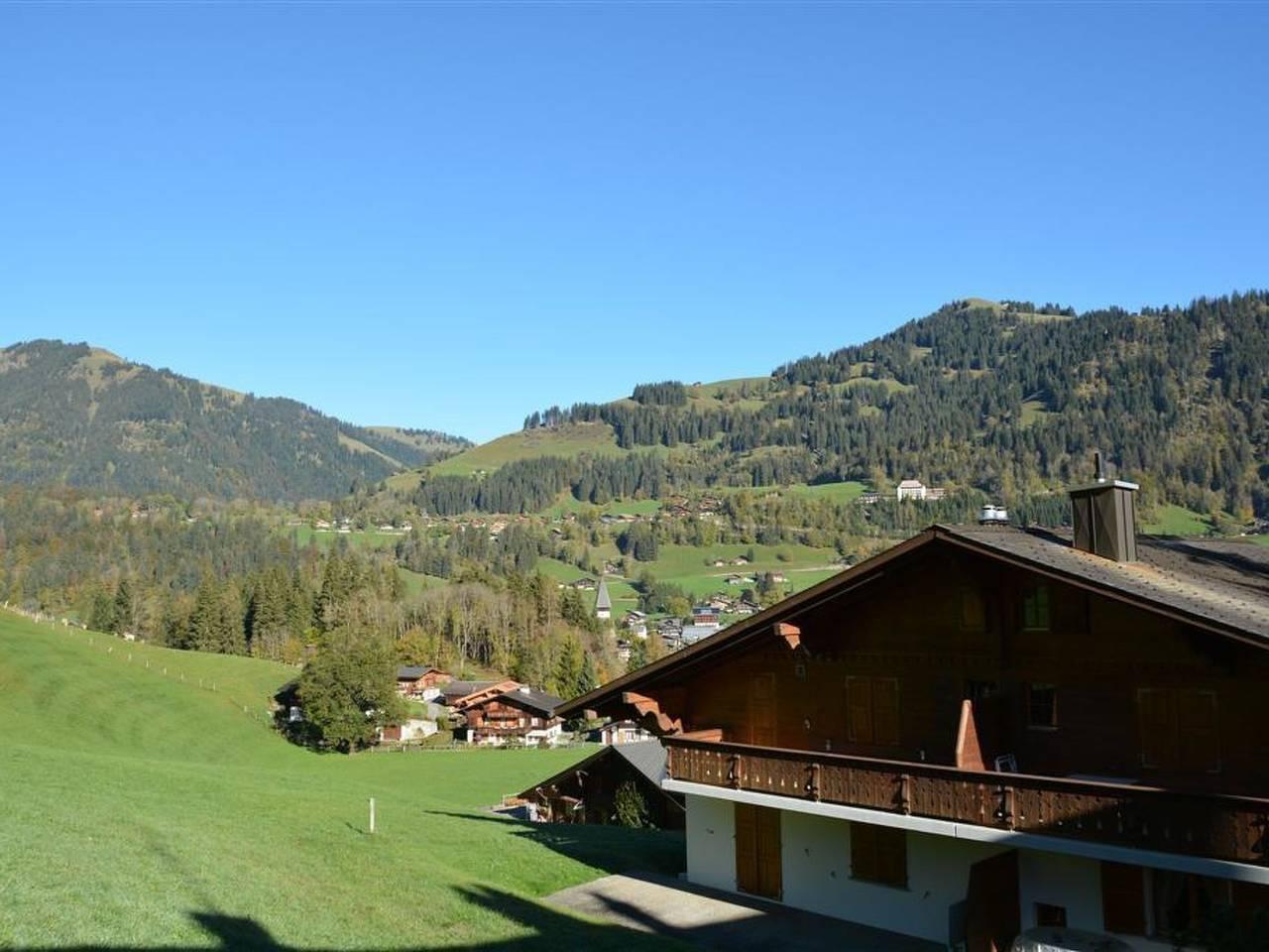 Hornflue (Baumann) in Saanenmöser, Saanen, Zwitserland voor 4 personen foto 11