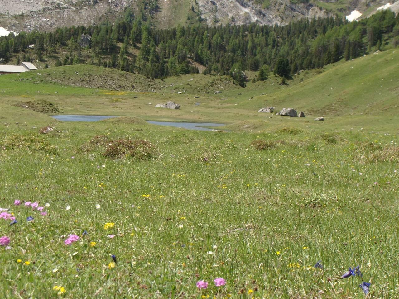 Natuurontsnapping in de Kandervallei in Kandergrund, Frutigen - Lenk - Adelboden, Zwitserland voor 2 personen foto 19