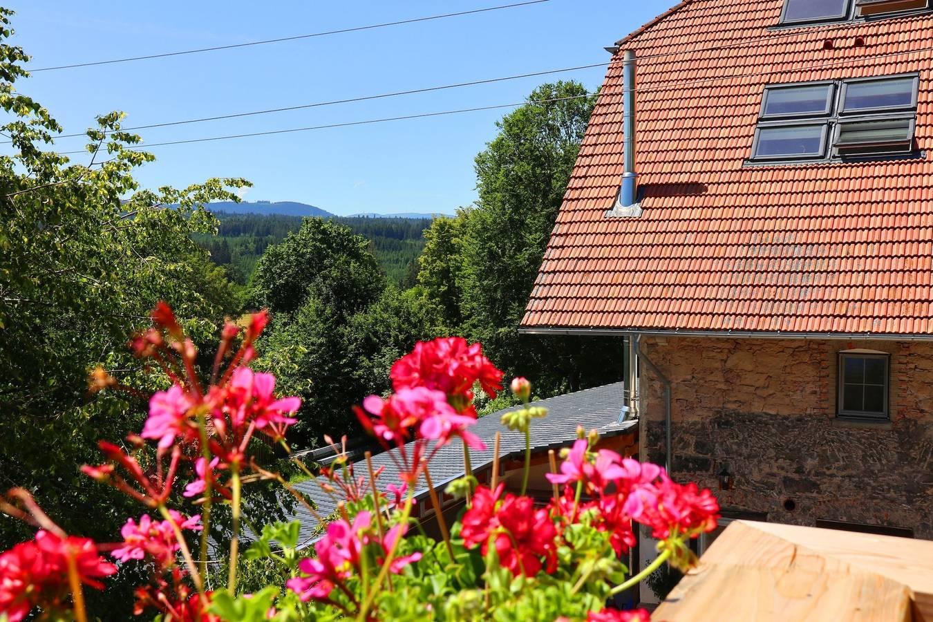 Vakantieappartement in Löffingen, Duitsland voor 2 personen foto 2