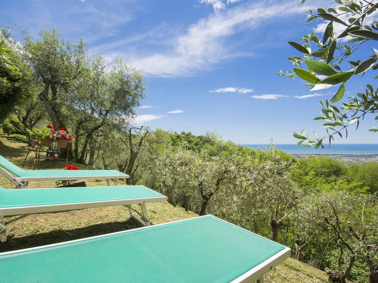 Vakantiehuis in Versilia, Italië voor 5 personen foto 2