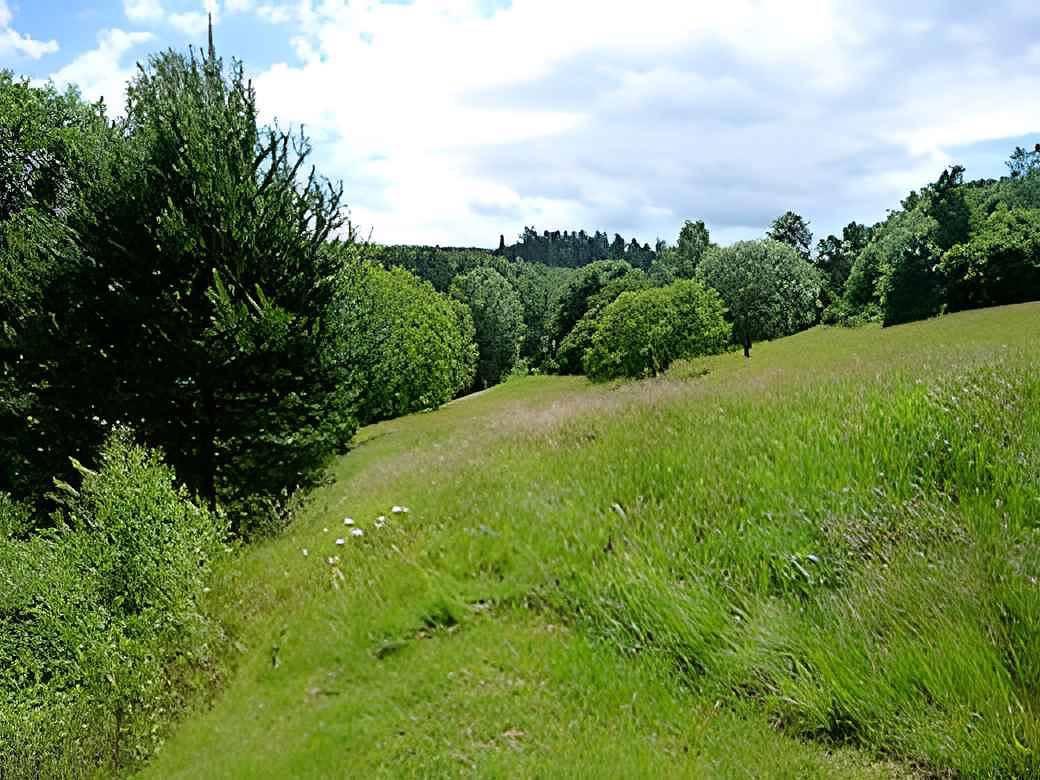 Finnhut met terras in St. Kilian, Duitsland voor 5 personen foto 24