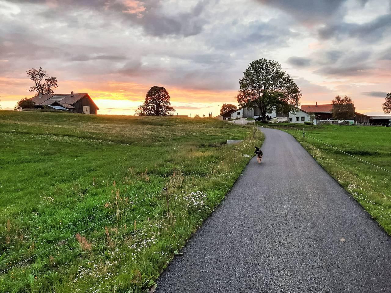 Vakantieappartement in Jura & Drie Meren, Zwitserland voor 5 personen