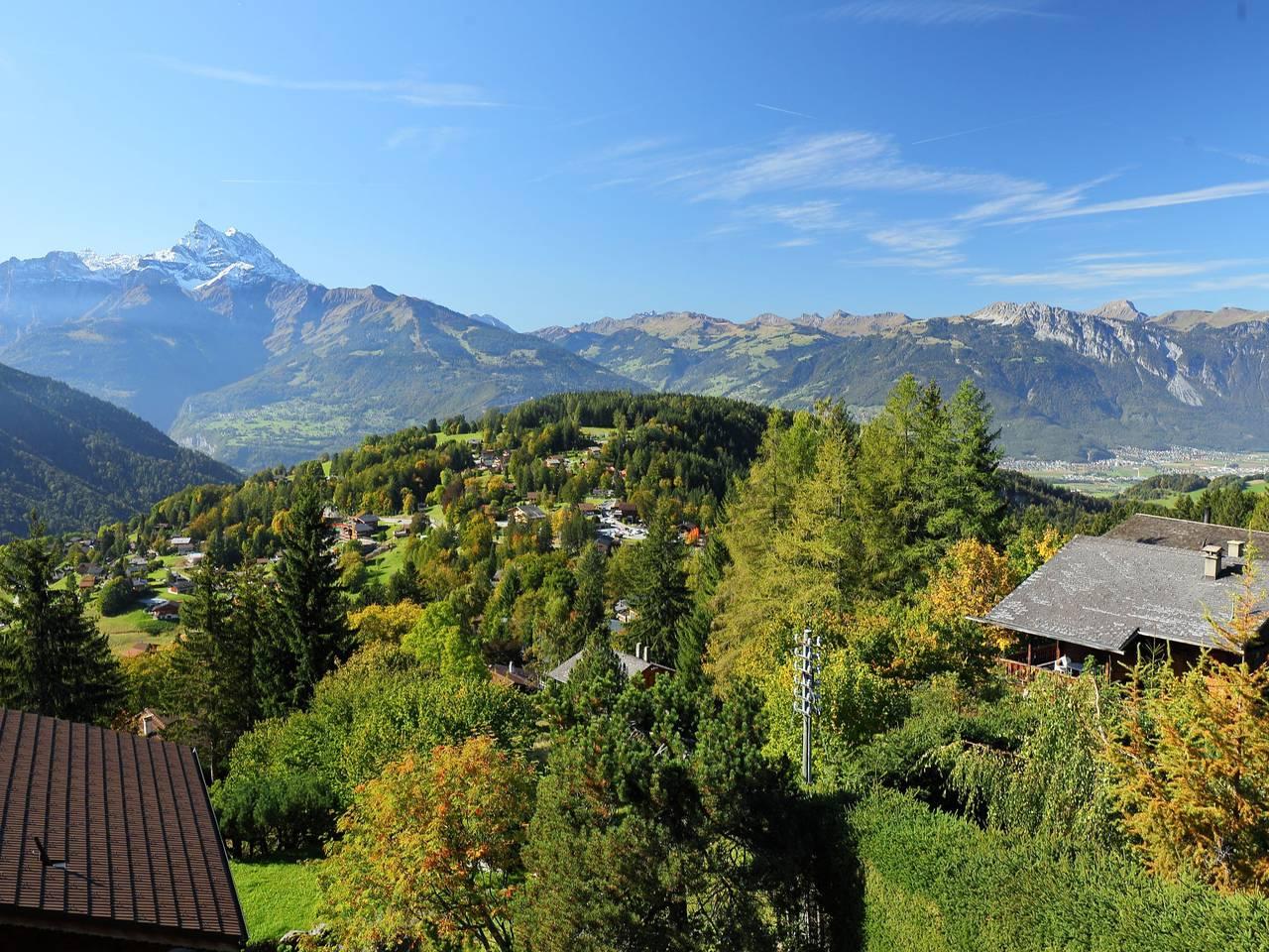 Vakantieappartement in Gryon, Alpes Vaudoises, Zwitserland voor 4 personen foto 19