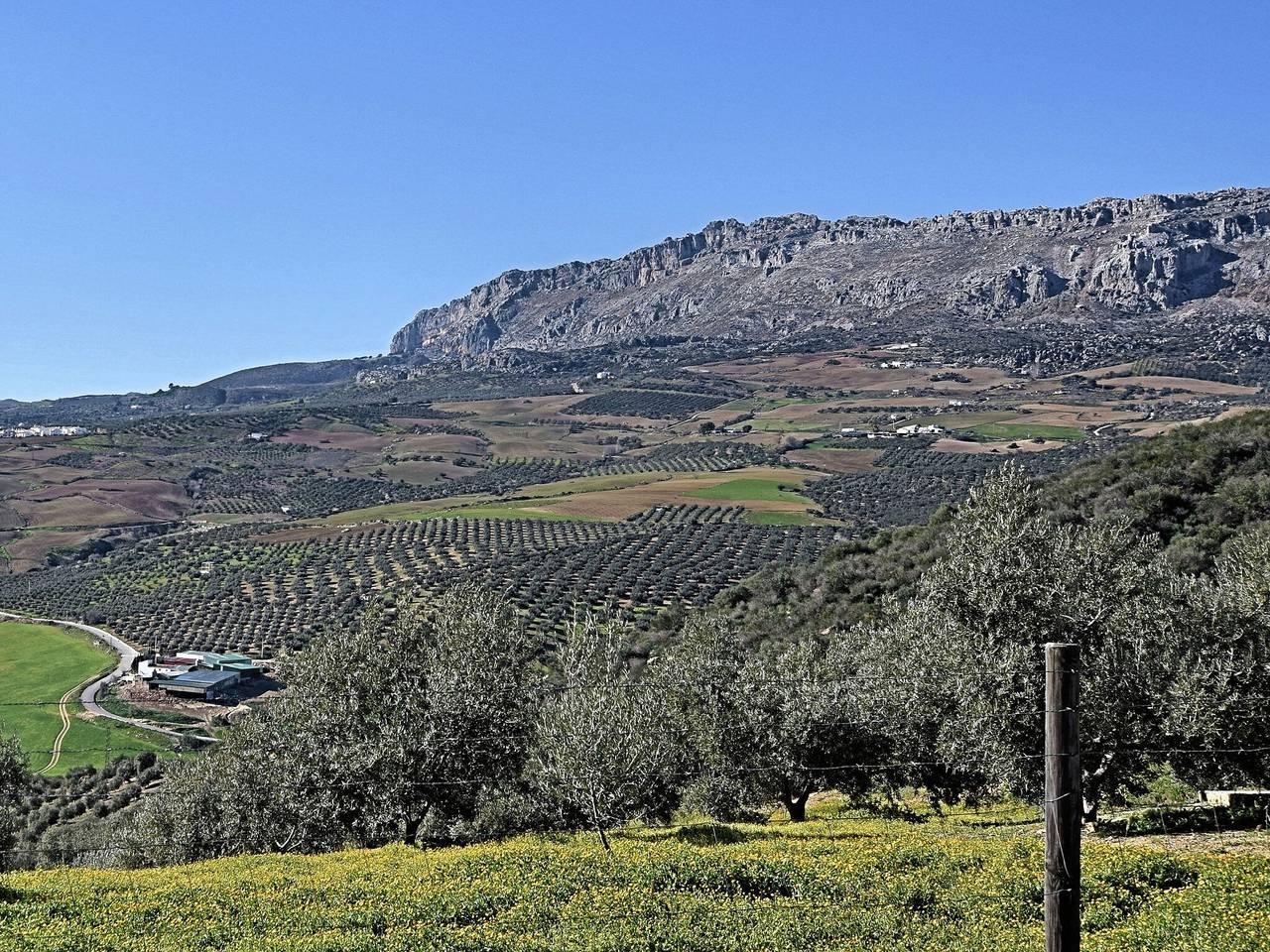 Verblijf op het Andalusische platteland in Almogía, Cordillera Penibética, Spanje voor 4 personen foto 20