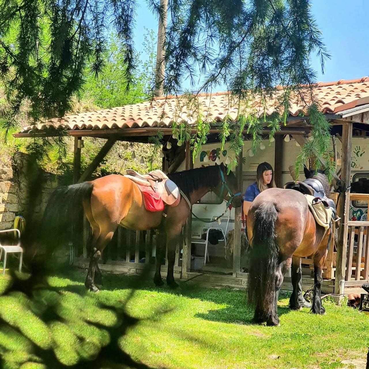 Vakantiehuis in Modigliana, Italië voor 5 personen foto 15