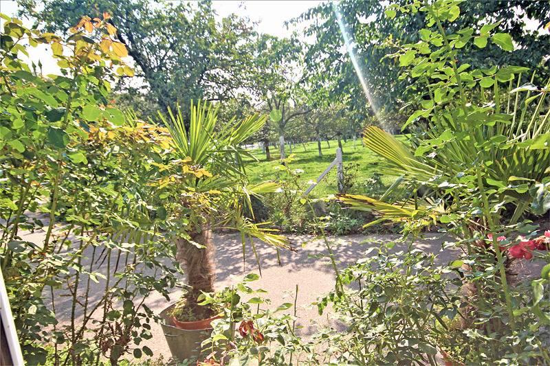 Gîtes de France® - Le Petit-Clos in Octeville-sur-Mer, Frankrijk voor 4 personen foto 22