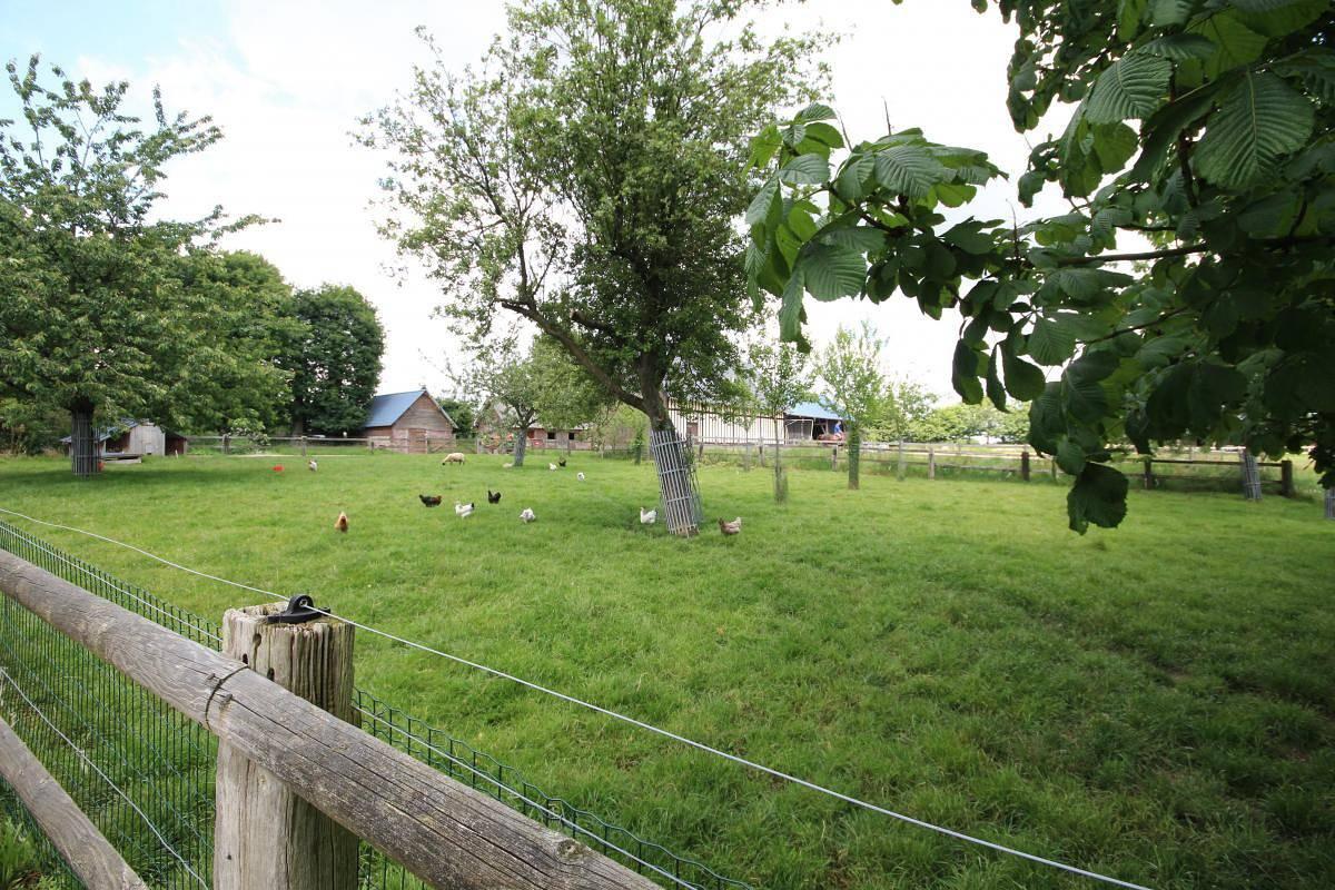Vakantiehuis in La Cerlangue, Frankrijk voor 9 personen foto 17