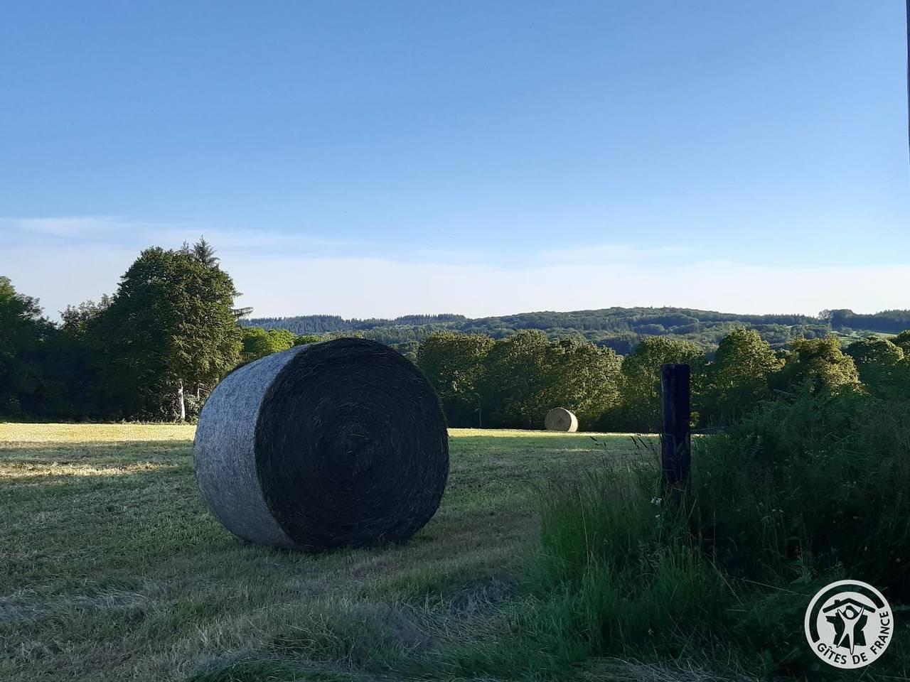 Vakantiehuis in Corrèze, Frankrijk voor 5 personen foto 12