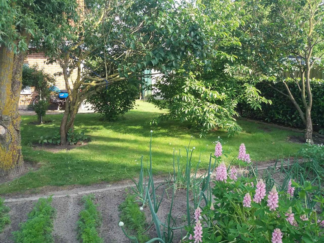 Vakantieappartement in Usedom, Duitsland voor 2 personen foto 5