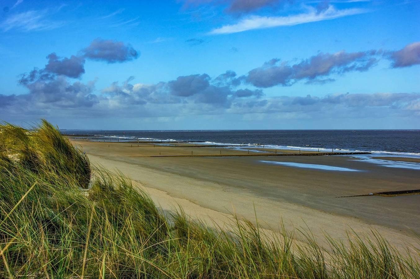Vakantieappartement in Waddenzee, Duitsland voor 4 personen foto 7