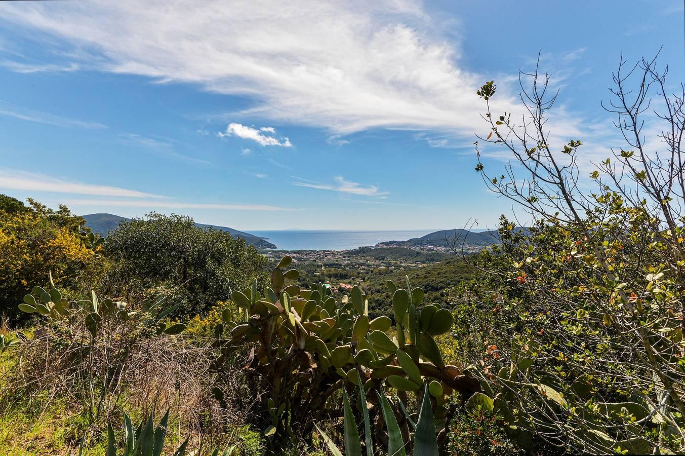 Appartement vakantiehuis 'Casa Arancio' met prachtig in Campo nell'Elba, Toscaanse Archipel, Italië voor 4 personen foto 23