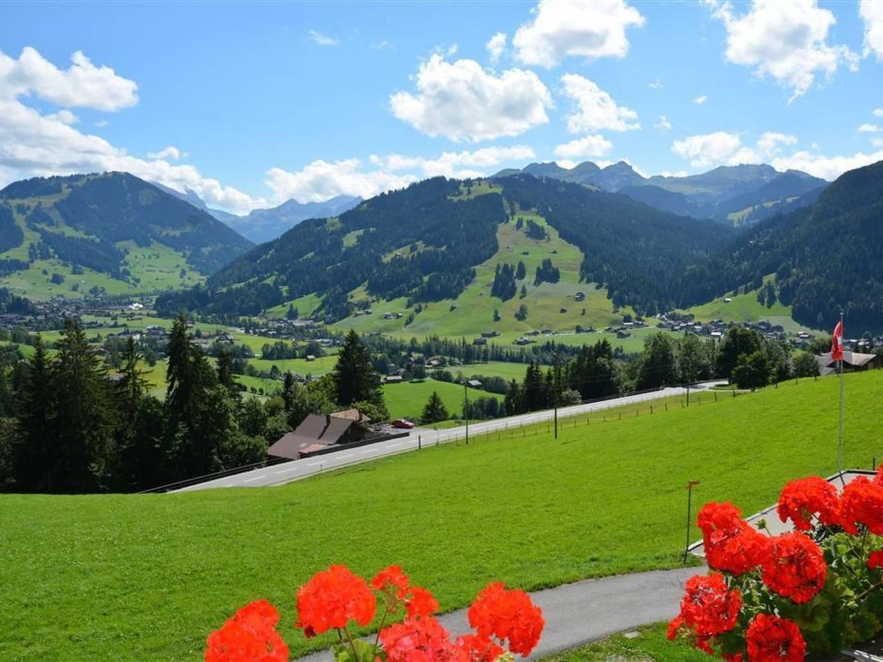 Vakantieappartement in Saanen, Zwitserland voor 5 personen foto 3
