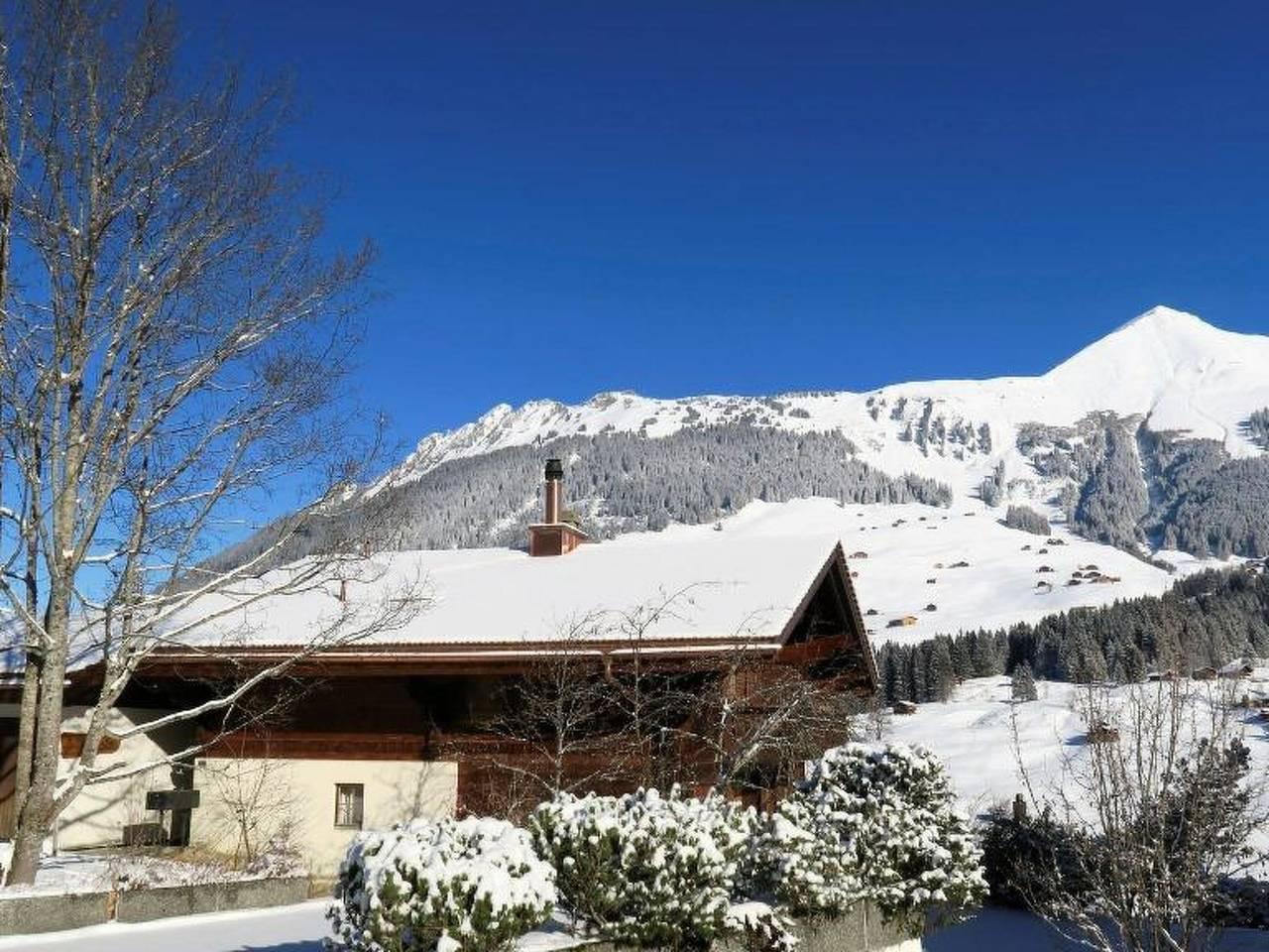 Vakantieappartement in Lauenen, Zwitserland voor 4 personen foto 3