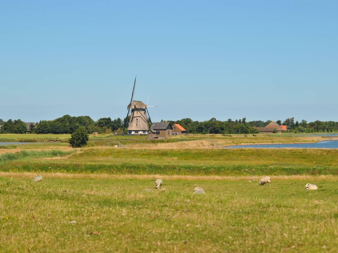 Vakantiehuis in Texel, Nederland voor 6 personen foto 17
