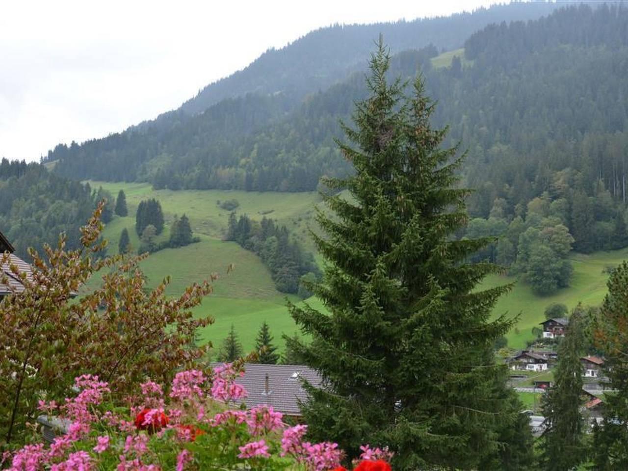 Vakantieappartement in Zweisimmen, Zwitserland voor 4 personen foto 7