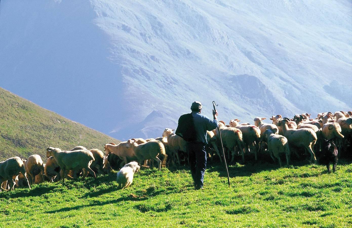 Vakantiehuis in Ariège, Frankrijk voor 6 personen foto 17