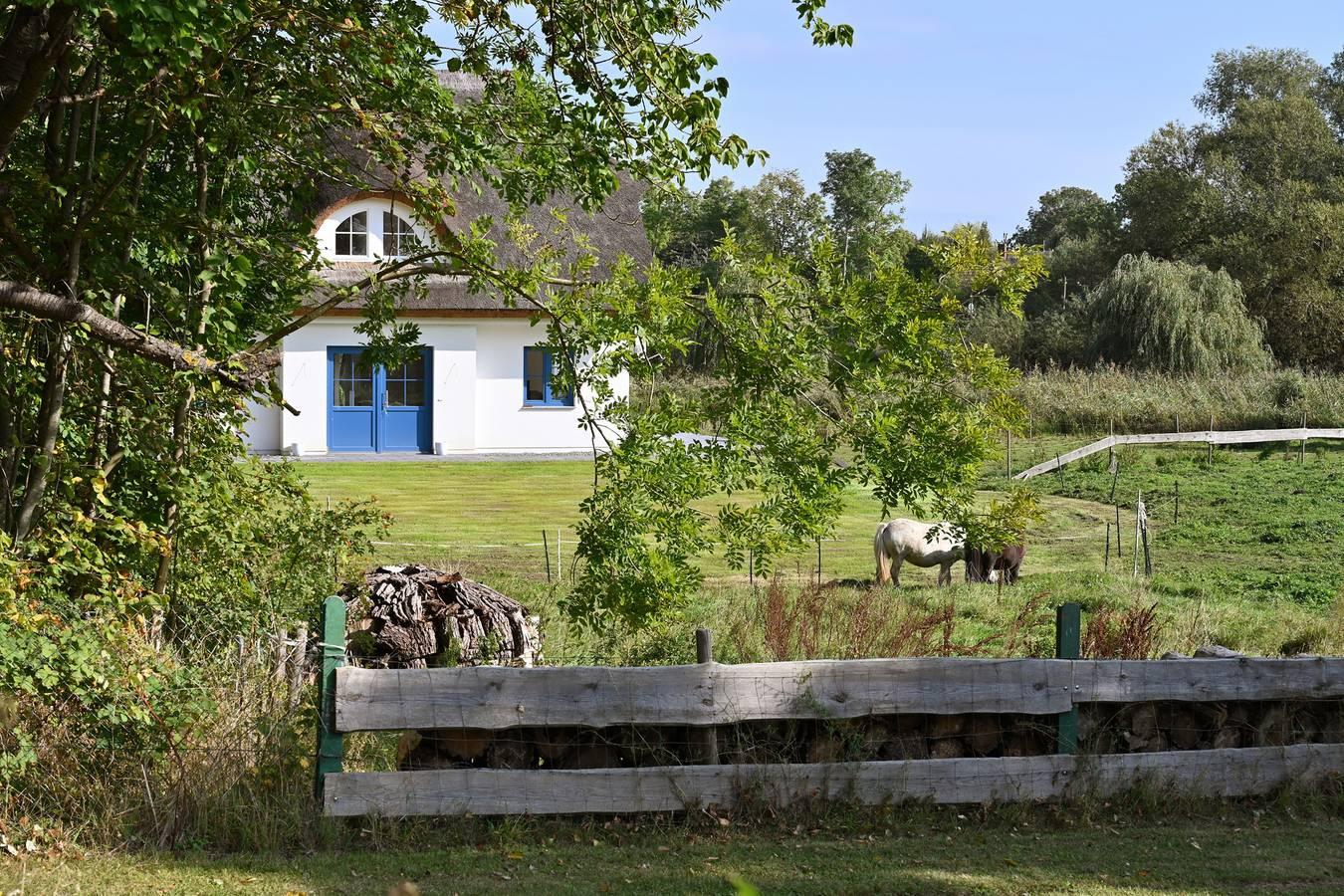 Vakantiehuis in Rügen, Duitsland voor 6 personen foto 10