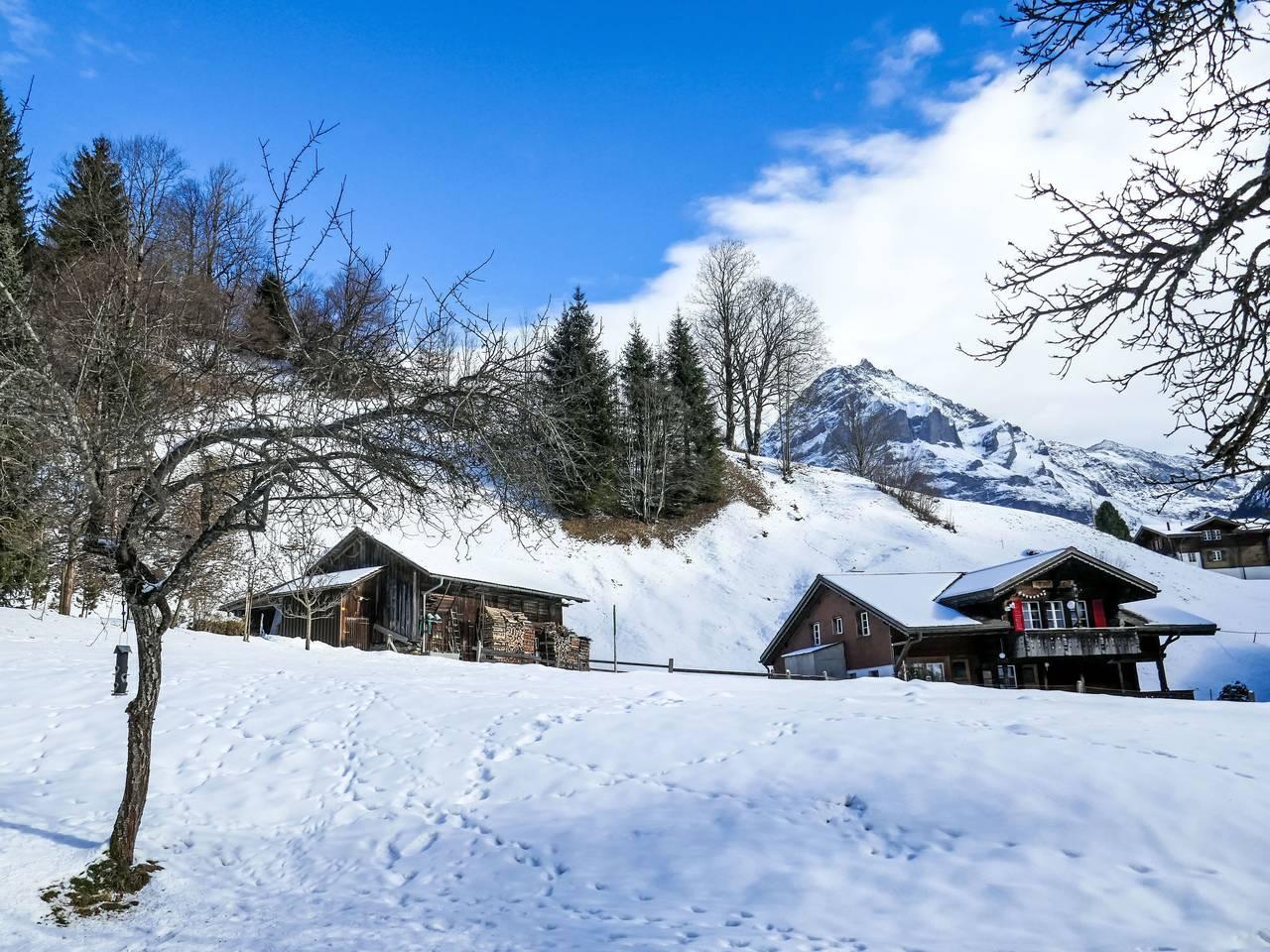 Chalet Schwendihus in Schwendi b. Grindelwald, Grindelwald, Zwitserland voor 2 personen foto 19