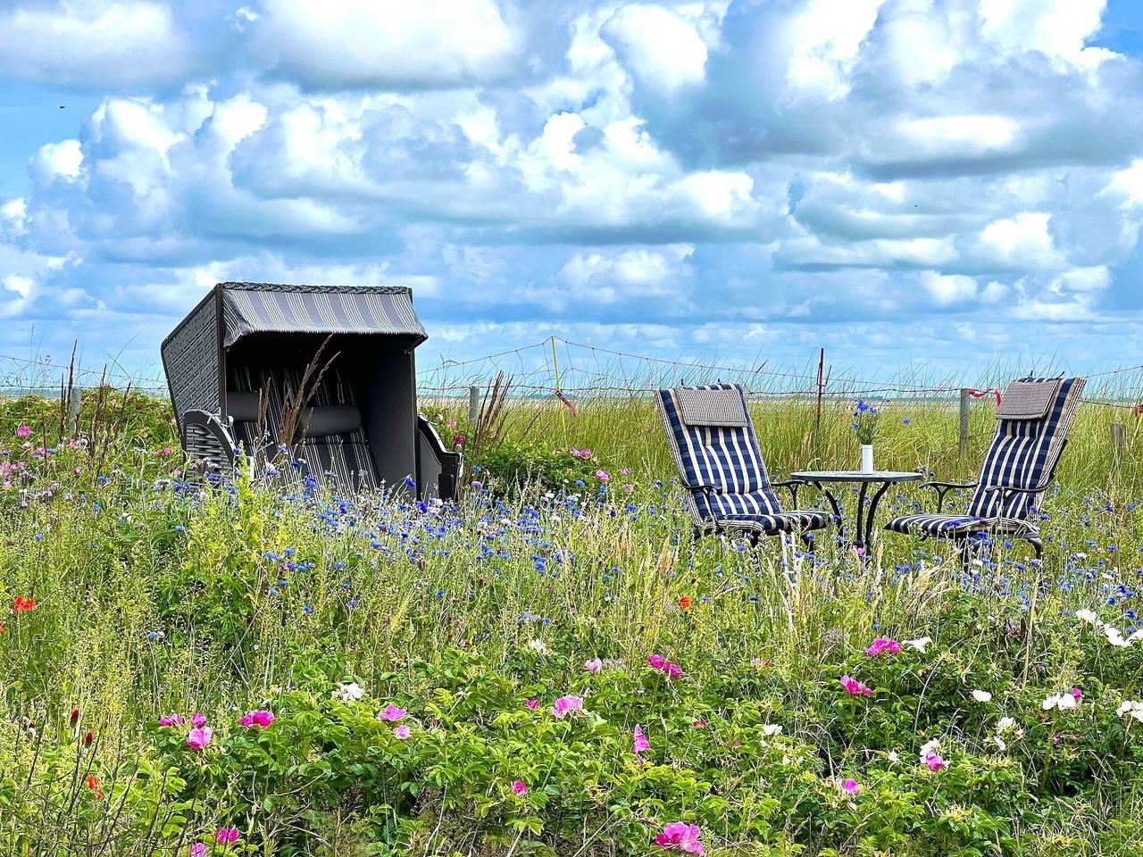 Vakantieappartement in Amrum, Duitsland voor 2 personen foto 8