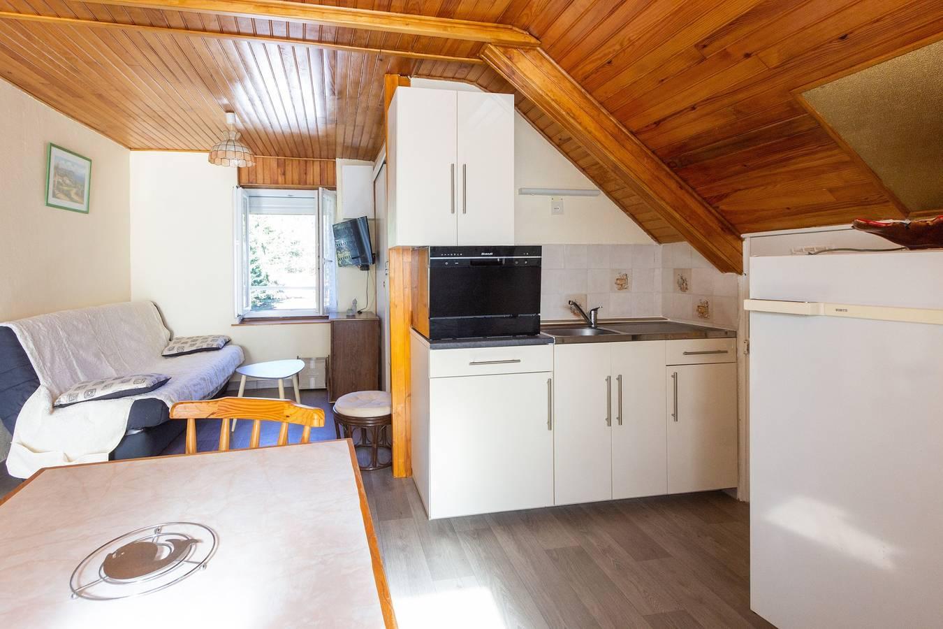 Vakantieappartement in Auvergne, Frankrijk voor 4 personen foto 4