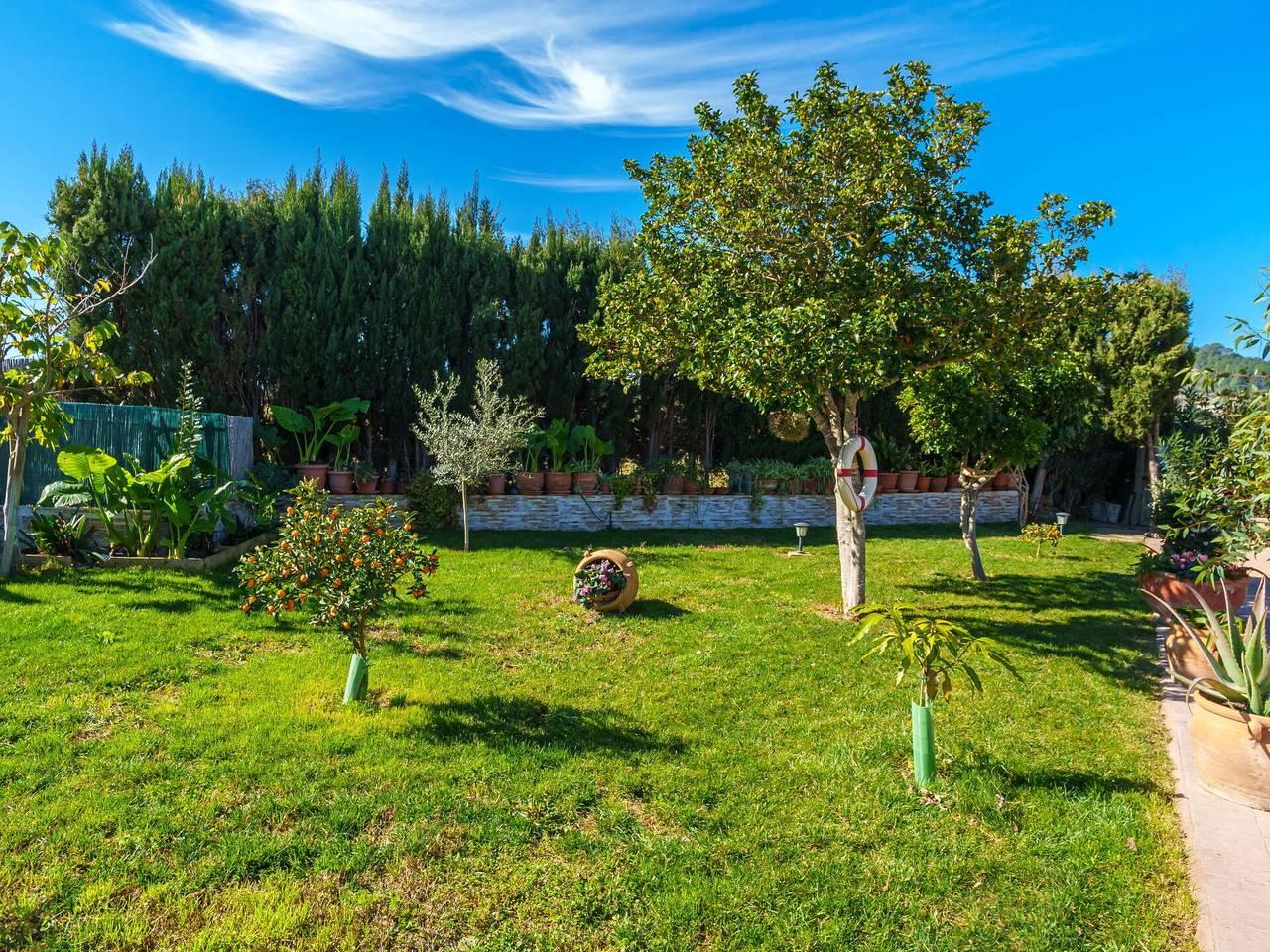 Vakantiehuis in Selva, Spanje voor 6 personen foto 12