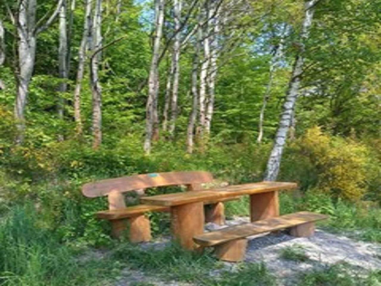 Vakantiehuis met ontbijtoptie in Thüringer Woud, Duitsland voor 4 personen foto 20