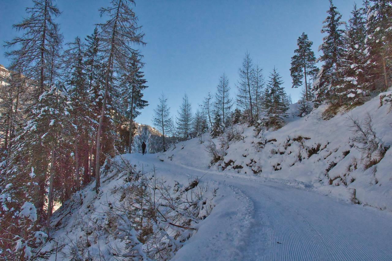 Glockenblume Einzelzimmer in Prägraten am Großvenediger, Bezirk Lienz, Oostenrijk voor 2 personen foto 22