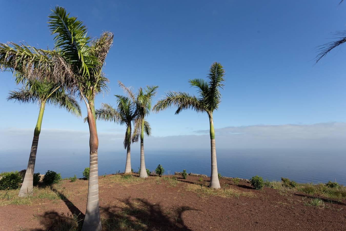 Vakantieappartement in Tenerife, Spanje voor 3 personen foto 2