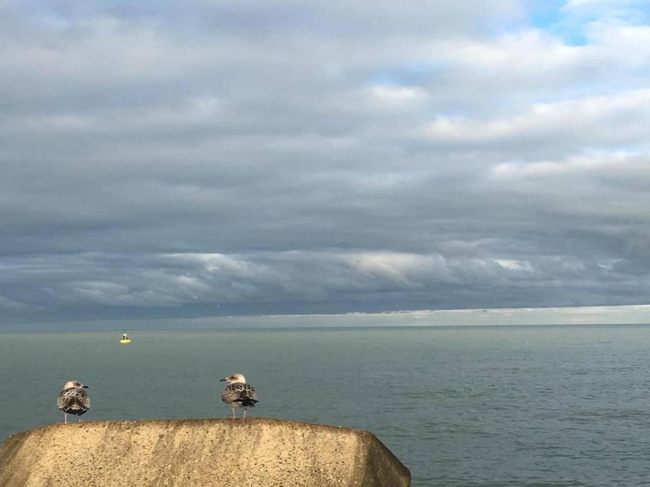 Ontspannend toevluchtsoord in Bredene, Belgische Kust, België voor 4 personen foto 23