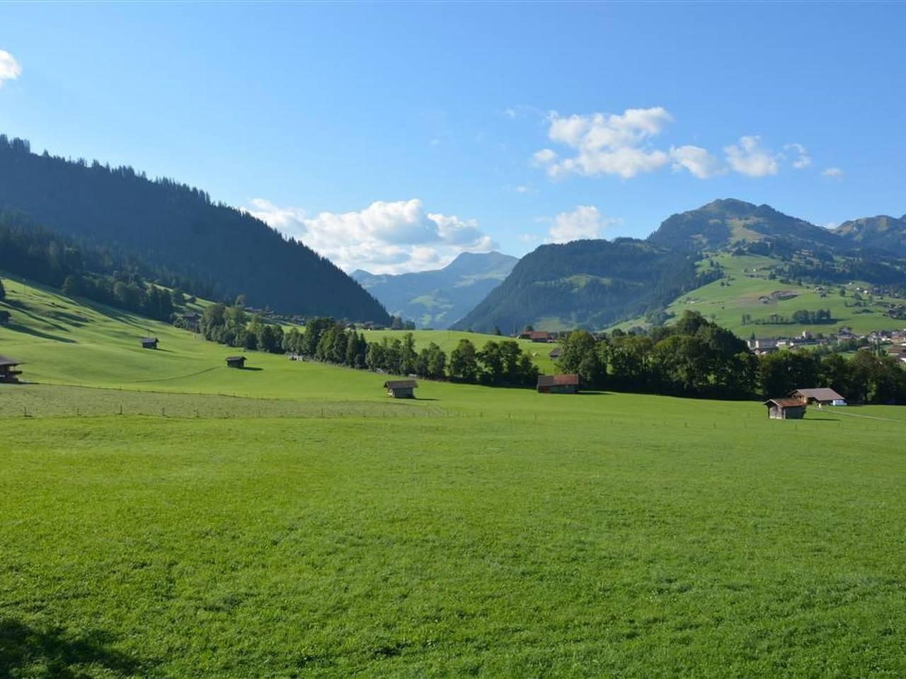Vakantieappartement in Zweisimmen, Zwitserland voor 4 personen foto 6