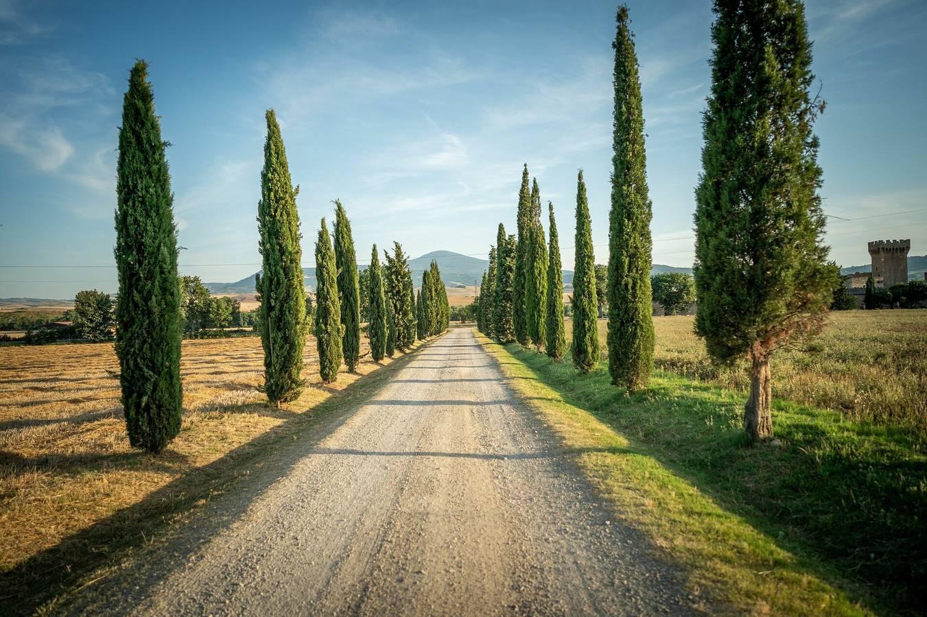 Villa Cassia in Pienza, Val d'Orcia, Italië voor 8 personen foto 23