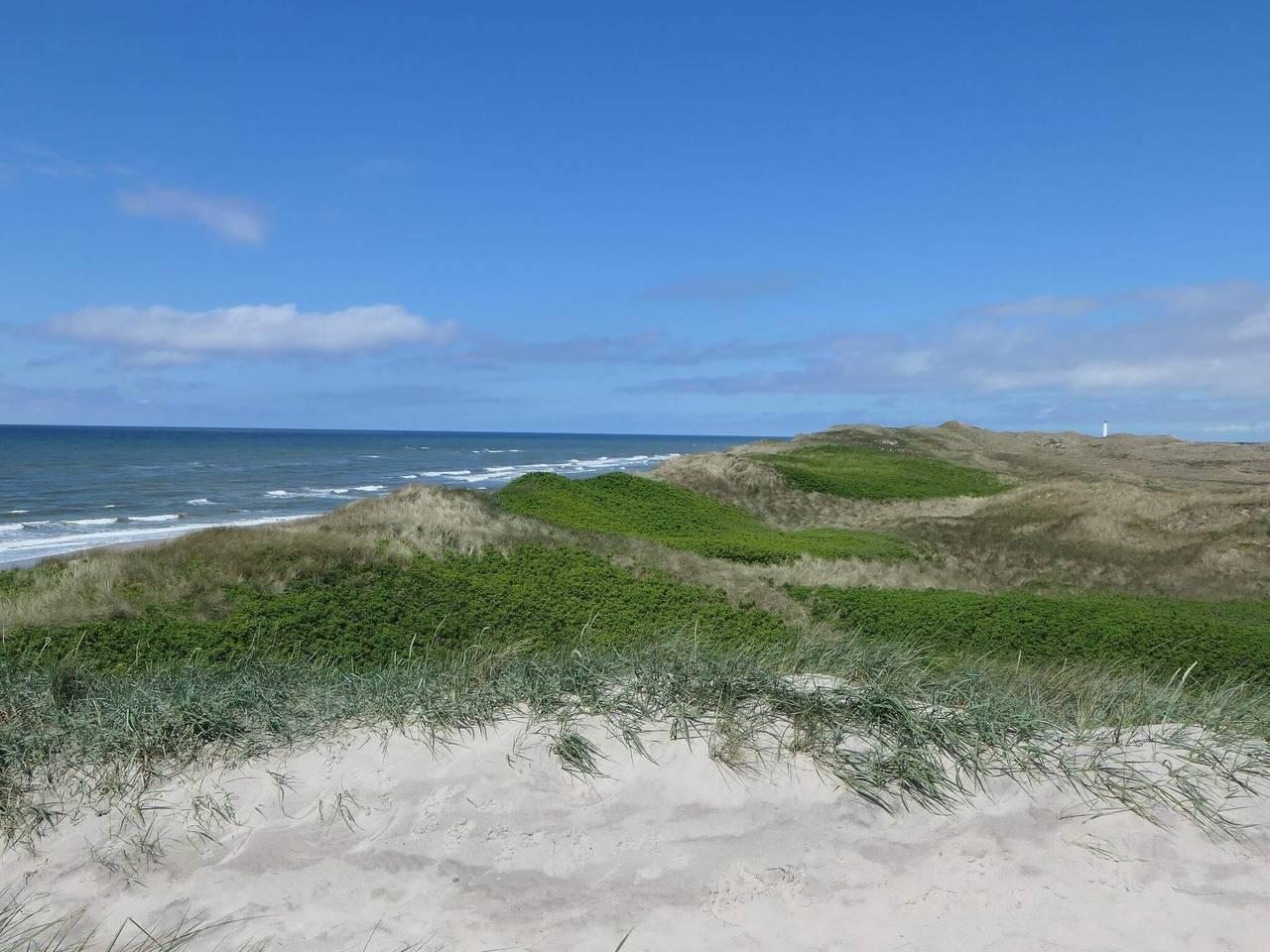 Vakantiehuis in Søndervig, Denemarken voor 5 personen foto 15
