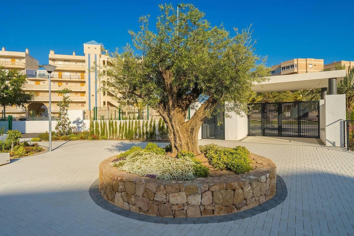 Arenales in Los Arenales del Sol, Elx, Spanje voor 4 personen foto 20