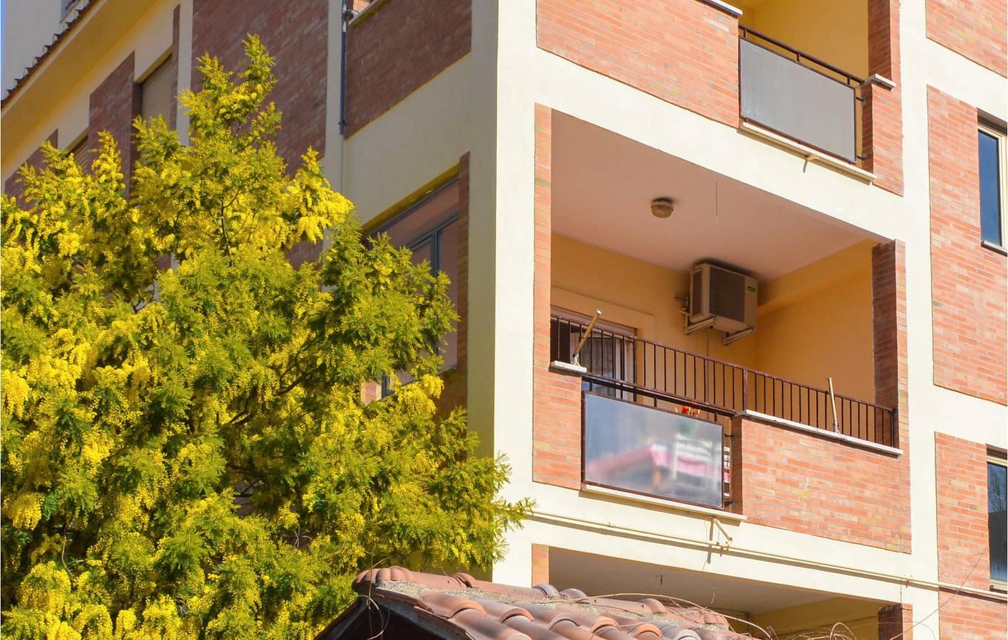 Vakantieappartement in Ladispoli, Italië voor 5 personen foto 2