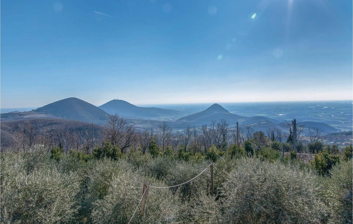 Vakantieappartement in Cinto Euganeo, Italië voor 6 personen foto 6