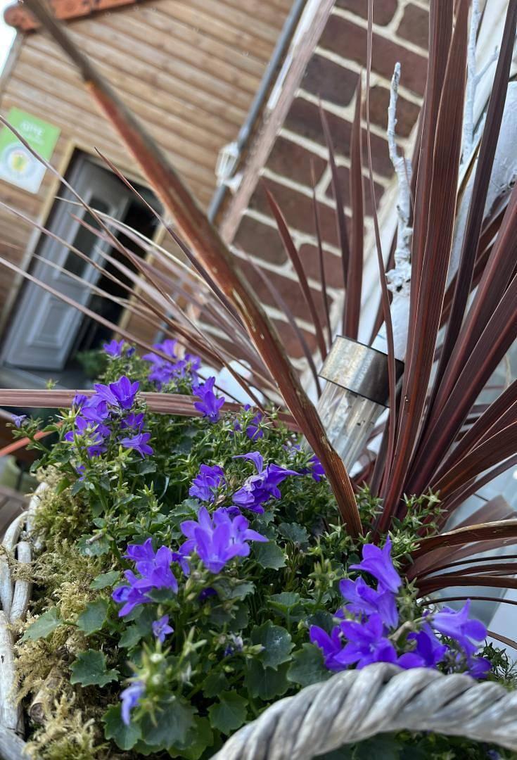 Vakantiehuis in Eu vanaf 54€ per nacht