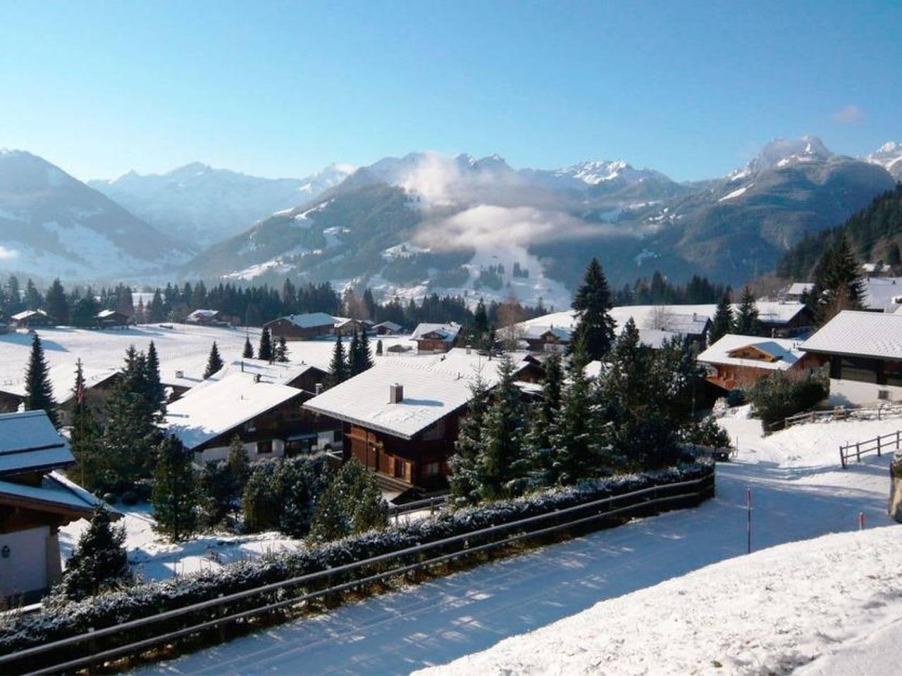 Vakantieappartement in Saanen, Zwitserland voor 4 personen foto 8