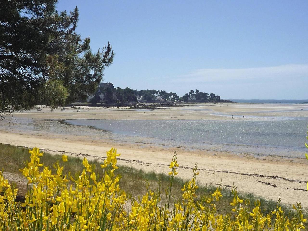 Vakantiehuis met hond toegestaan in Carnac, Côte des Mégalithes, Frankrijk voor 7 personen foto 23