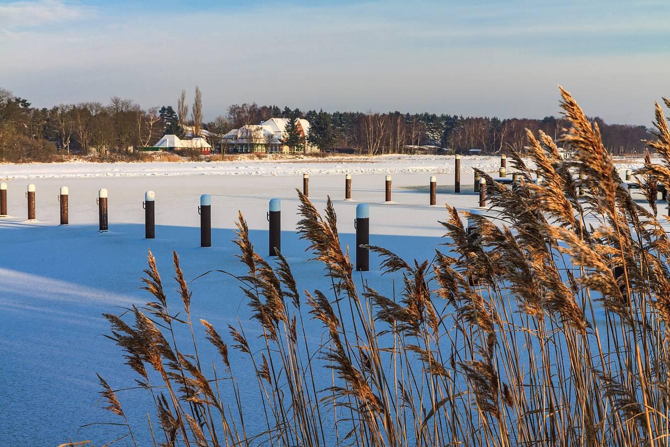 Vakantiewoning op een rustige locatie op slechts 4000 m in Bresewitz, Pruchten, Duitsland voor 4 personen foto 21