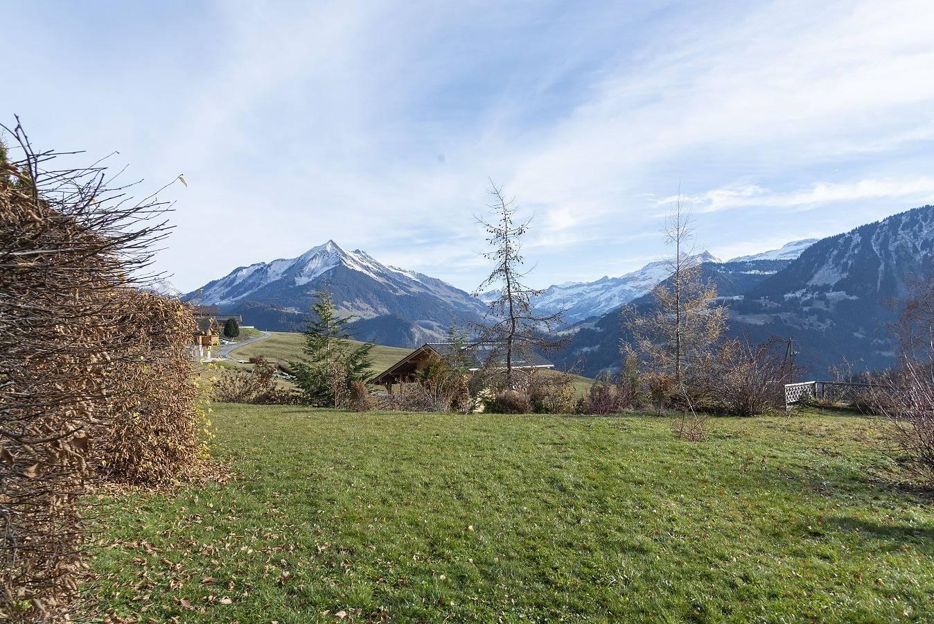 Vakantieappartement in Leysin foto 8