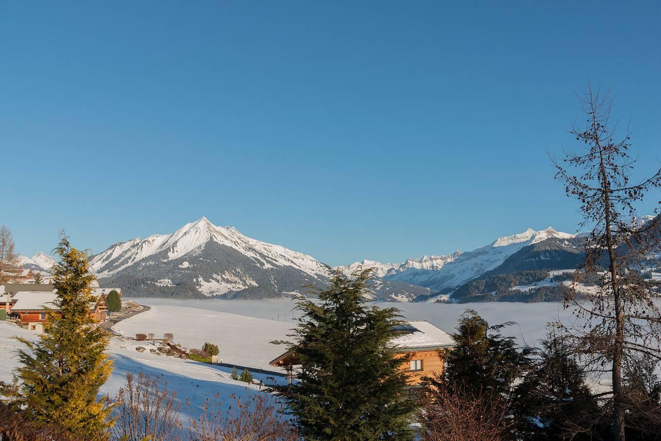 Vakantieappartement in Leysin foto 6