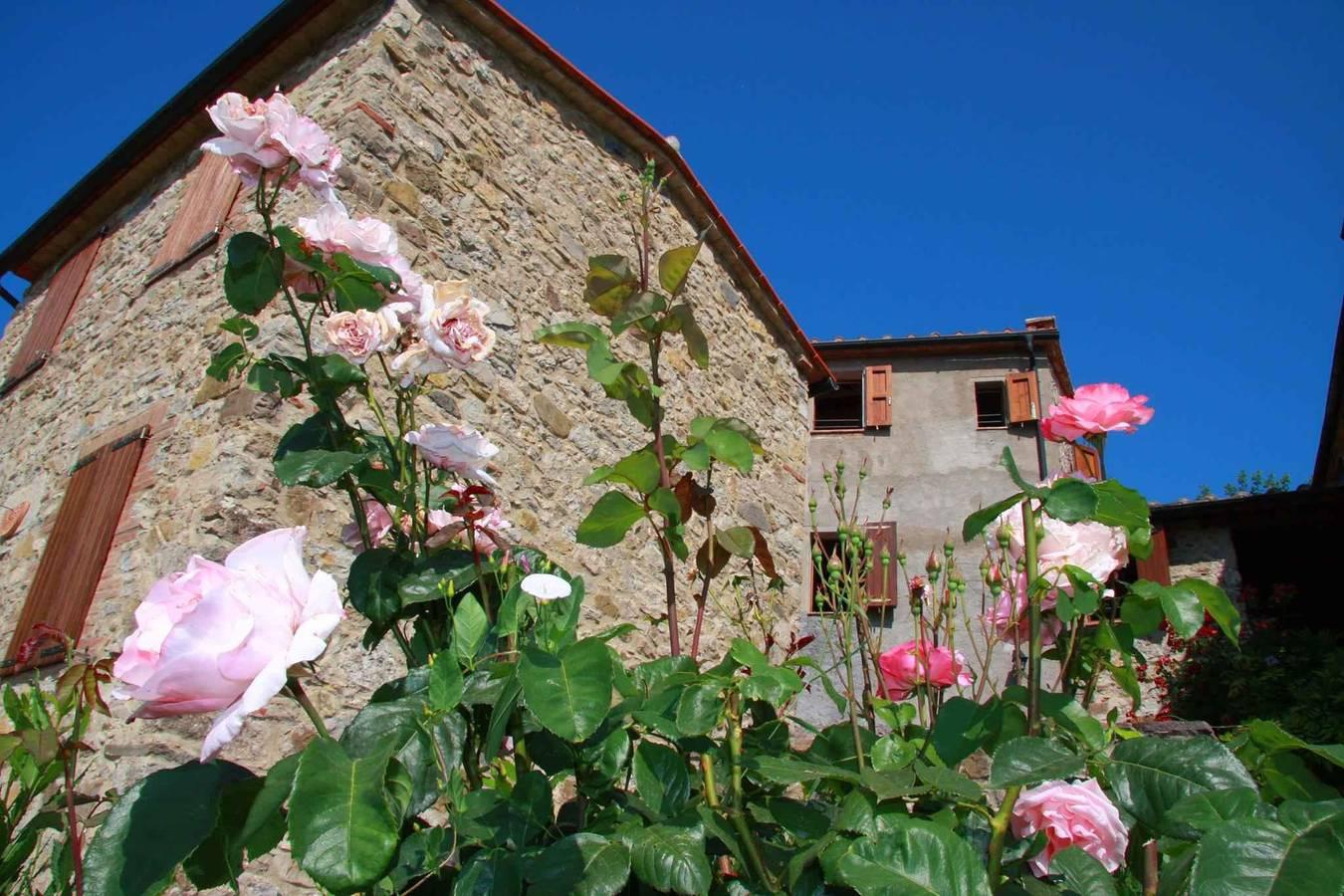 Vakantieappartement in Maremma, Italië voor 5 personen foto 3
