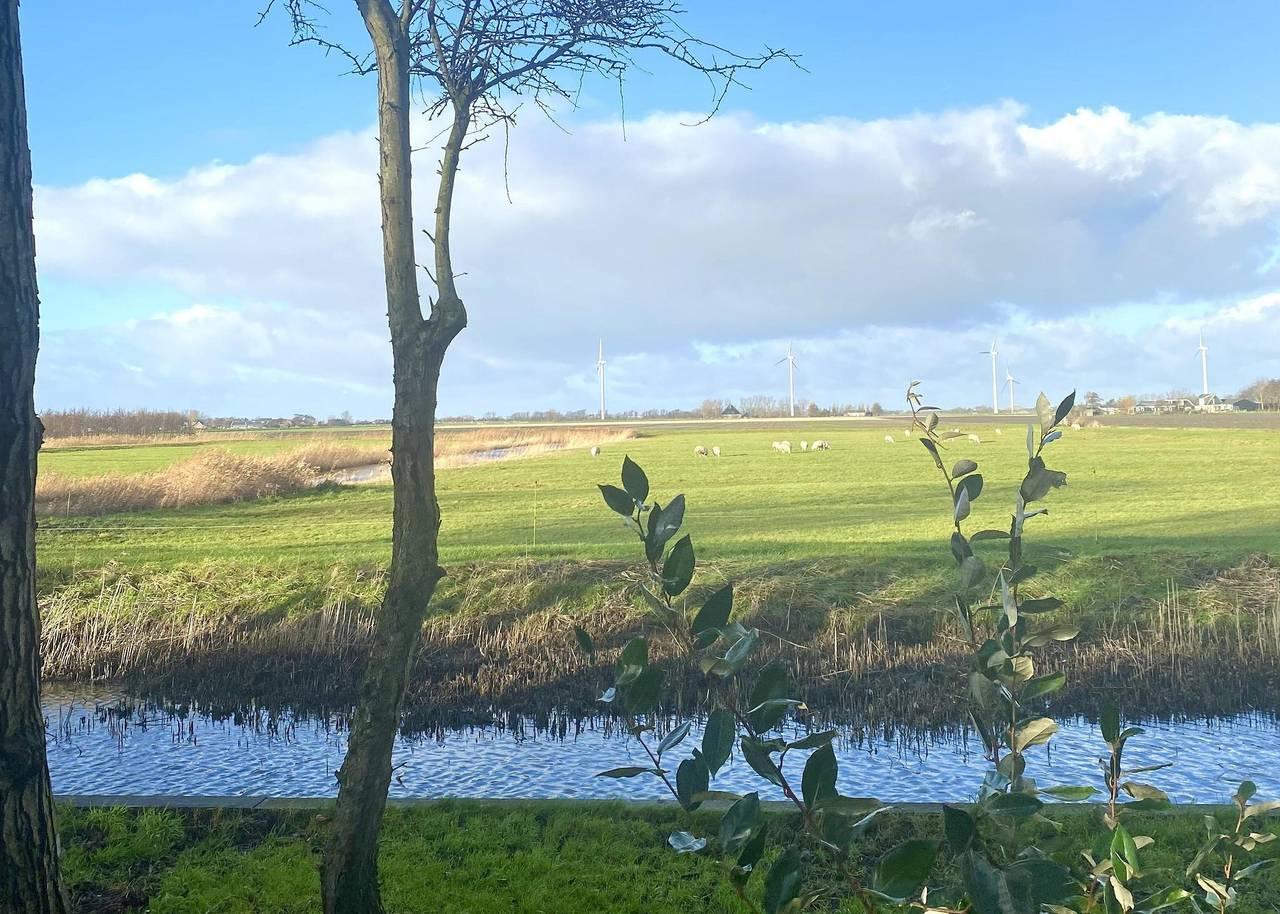 Great Vakantiehuizen — Vogelvrij 4 in Noord-Holland - Kust van de Noordzee, Nederland voor 6 personen foto 23
