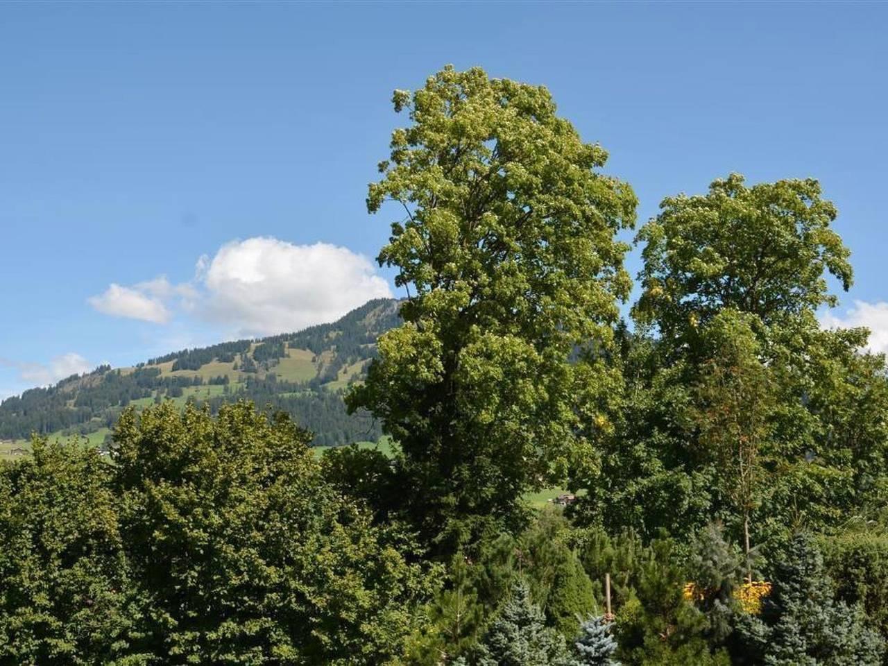 Abendrot in Saanenmöser, Saanen, Zwitserland voor 2 personen foto 6